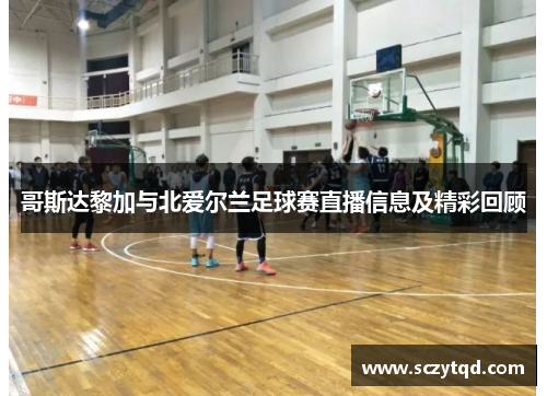 哥斯达黎加与北爱尔兰足球赛直播信息及精彩回顾