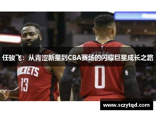 任骏飞：从青涩新星到CBA赛场的闪耀巨星成长之路
